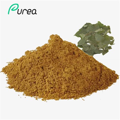 Horny Goat Weed-Extrakt