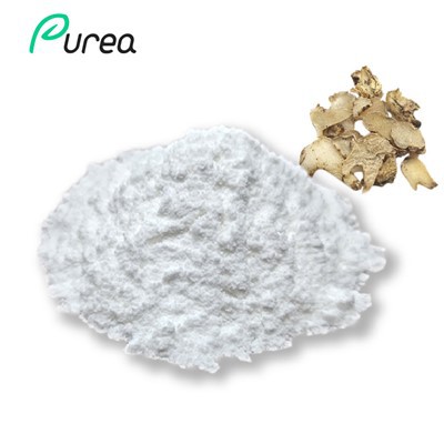 Resveratrol Polygonum Cuspidatum-Extraktpulver