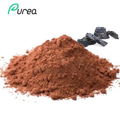 Shilajit-Extrakt-Pulver